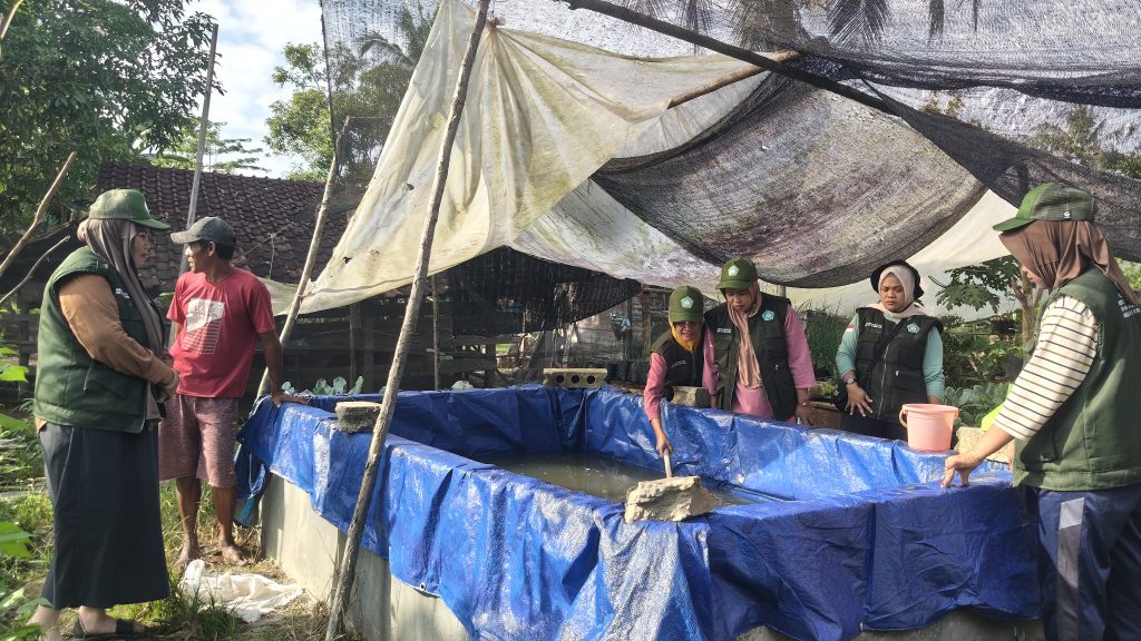 Budidaya Ikan Lele Desa Lalopisi: Langkah Kreatif Bersama Mahasiswa KKA IAI RAWA AOPA KONSEL