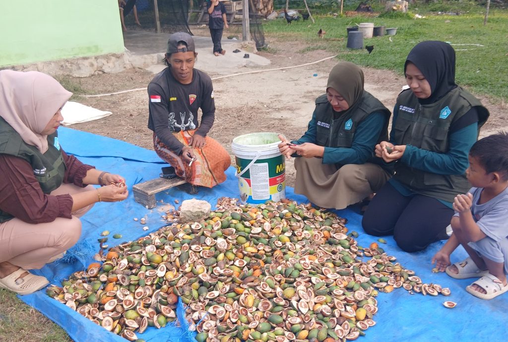 Mahasiswa KKA IAI Rawa Aopa Berbaur di Desa Tudameaso, Warga Keluhkan Harga Pinang Murah