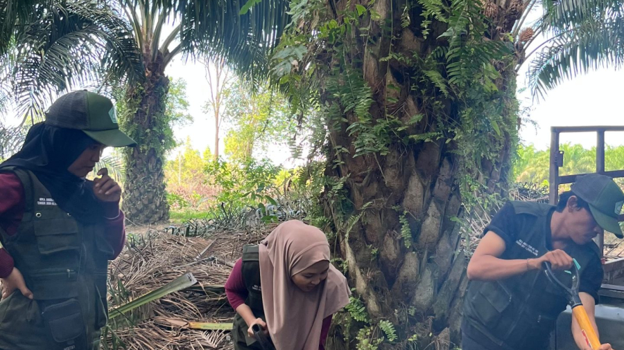 pupuk (4)